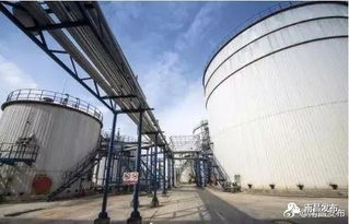 實探佛山 南海模式 展望南昌麥園垃圾焚燒廠未來